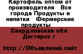 Картофель оптом от производителя - Все города Продукты и напитки » Фермерские продукты   . Свердловская обл.,Дегтярск г.